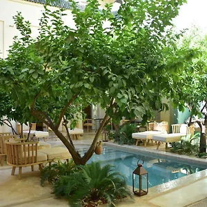 Emberiza Sahari 4*, مراكش المغرب
