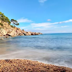 https://sea-views-private-beach-what-else.catalonia-hotels.com