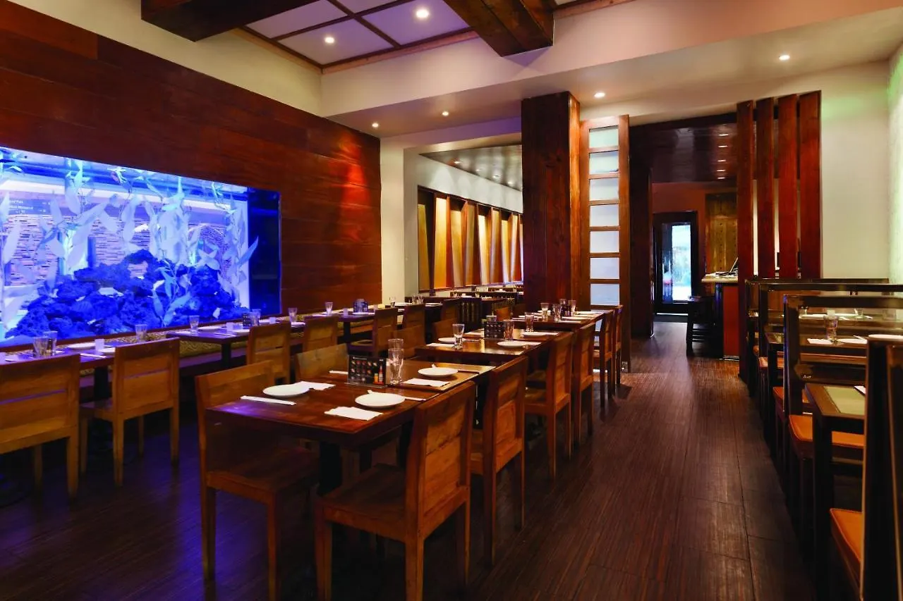 The Gallivant Times Square Nowy Jork Hotel